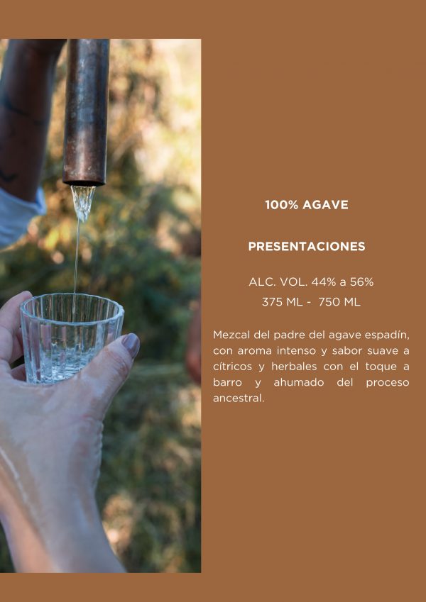Brochure rdd (1)_pages-to-jpg-0012