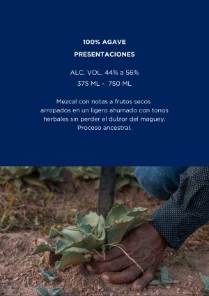 Brochure rdd (1)_pages-to-jpg-0014