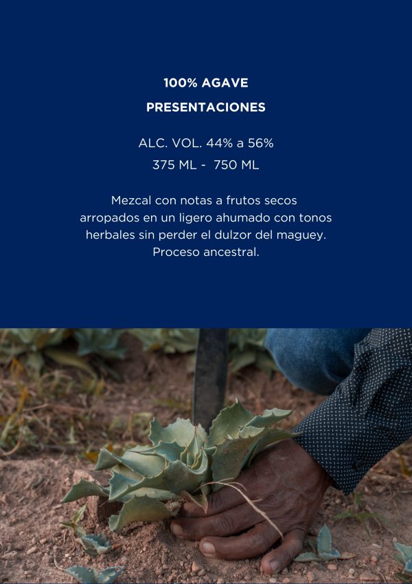 Brochure rdd (1)_pages-to-jpg-0014